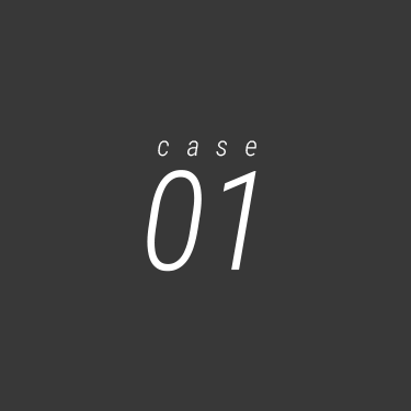 case 01